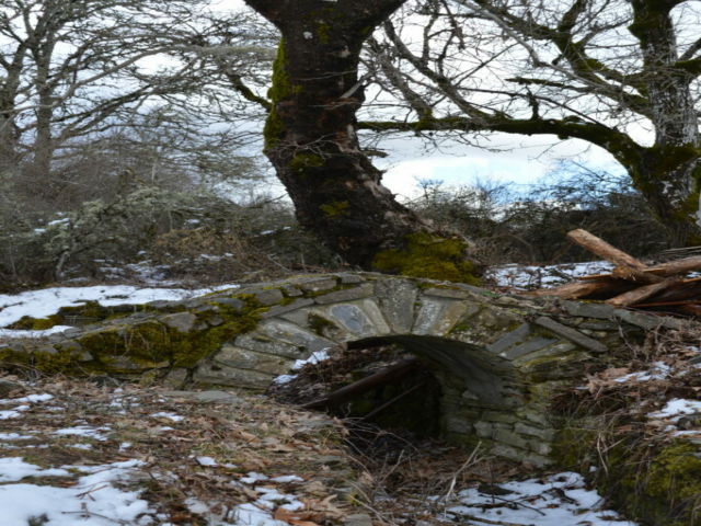 Mini-Rundbogenbrückle :)